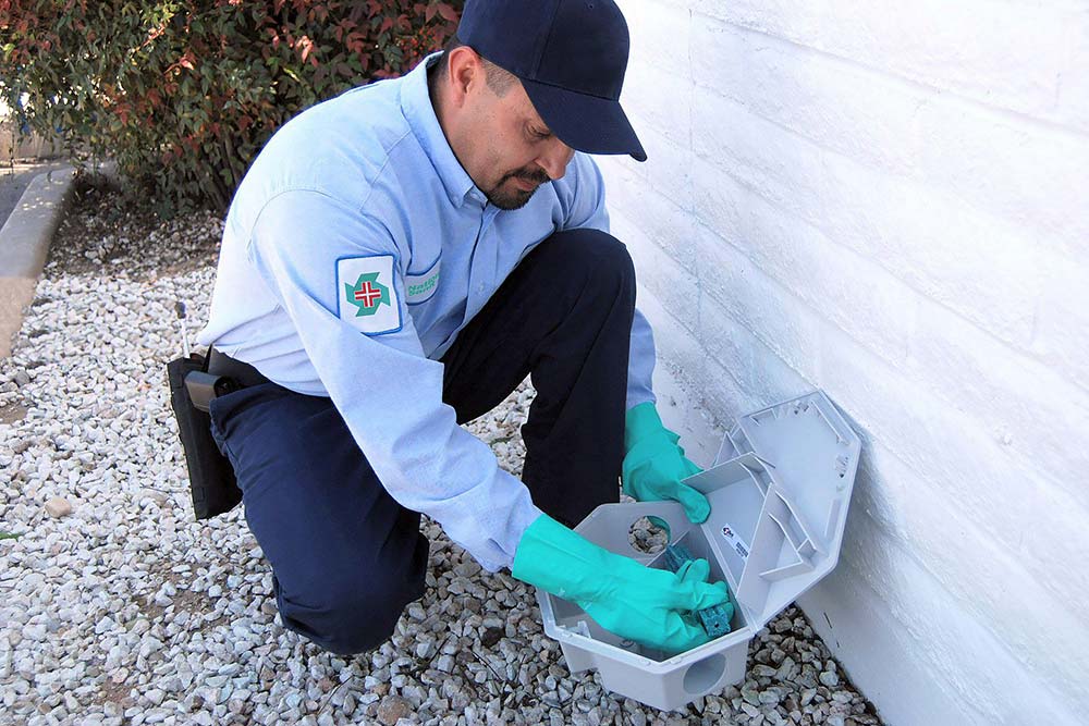 derattizzazione ascoli piceno teramo