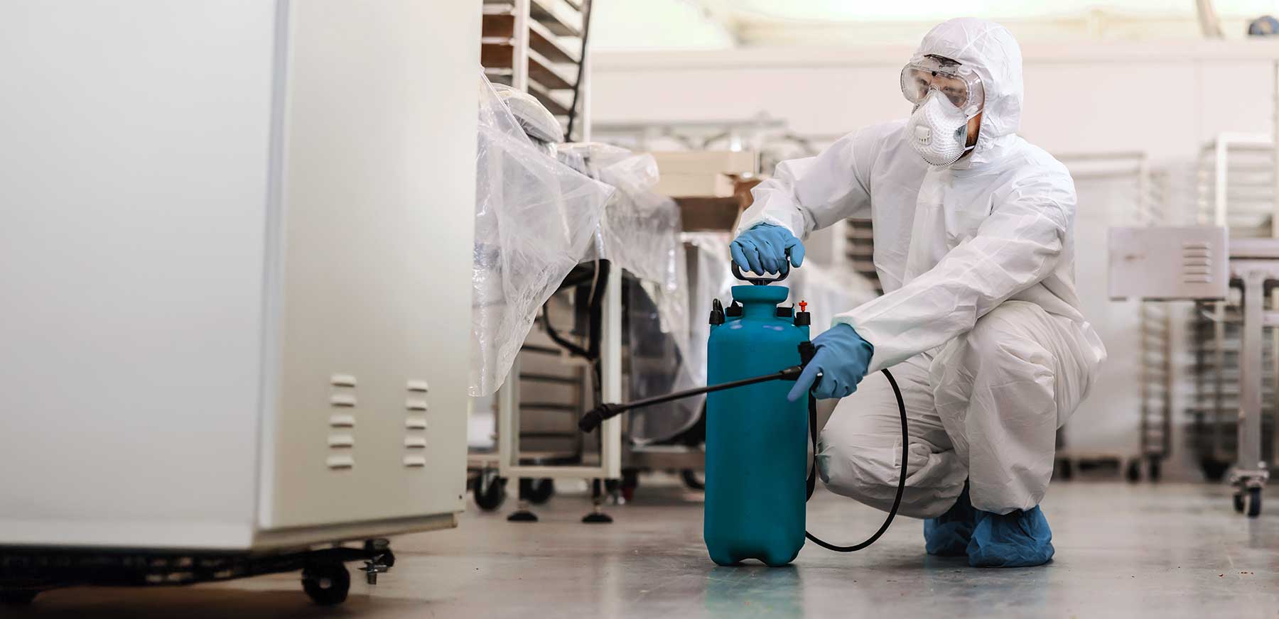 disinfestazioni ascoli piceno fermo teramo