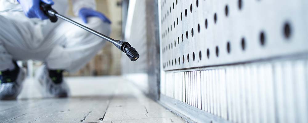 interventi derattizzazione ascoli piceno fermo teramo